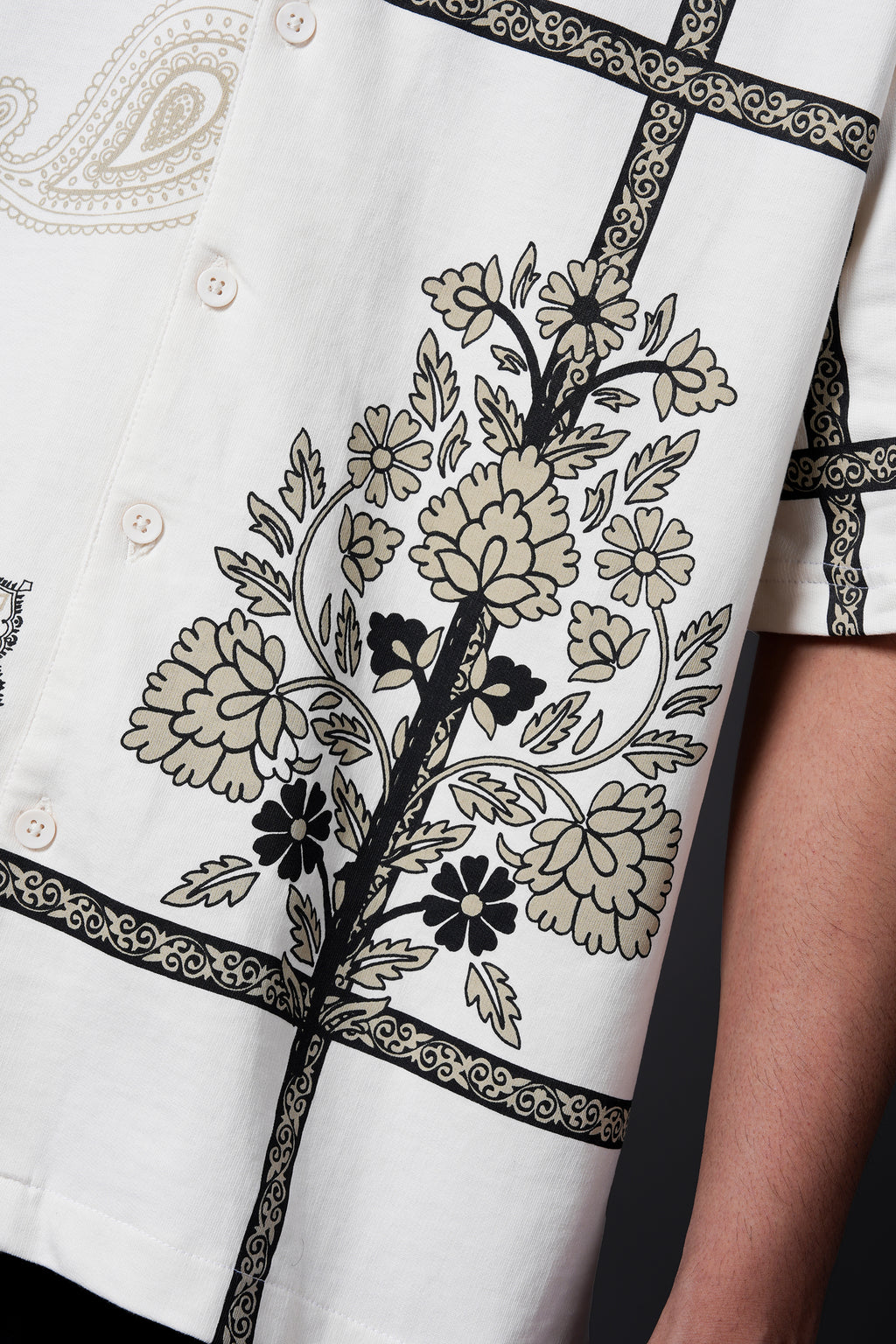 Rajvansh Shirt