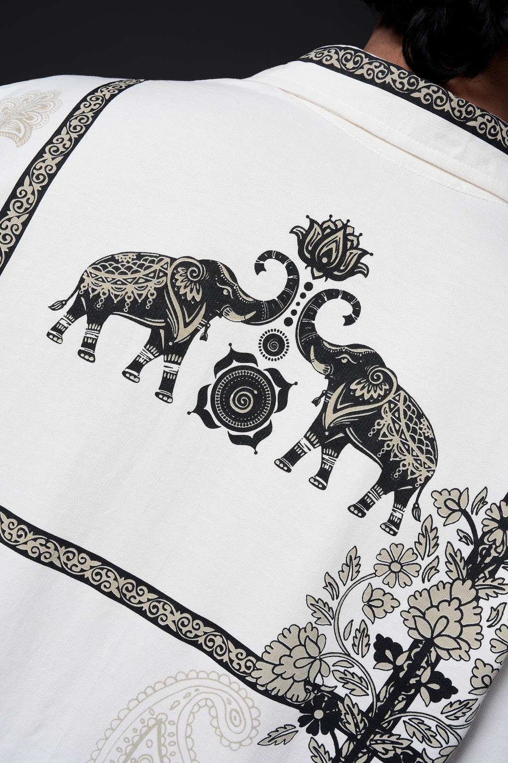 Rajvansh Shirt